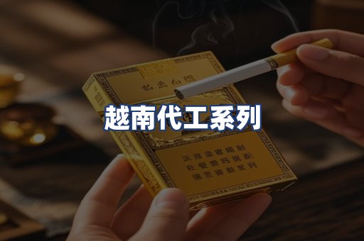 越南代工系列